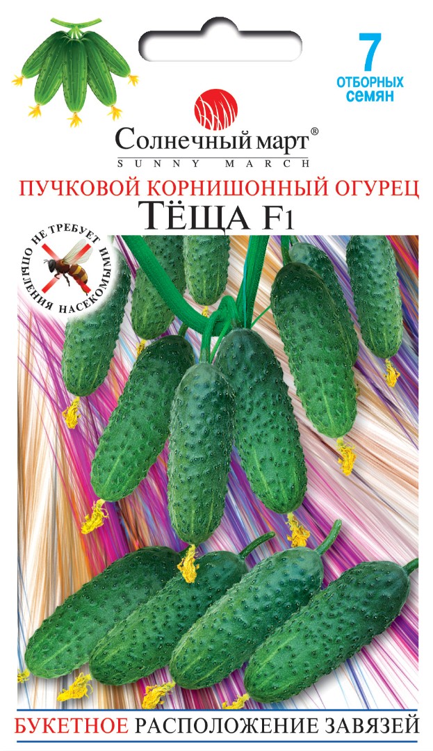 Огірок Теща F1